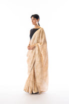 Ivory Printed Contrast Border Saree