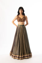Nilofer lehenga set, frame 1