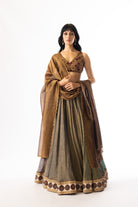 Nilofer lehenga set, frame 5