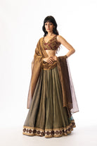 Nilofer lehenga set, frame 7